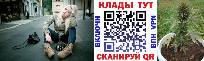 МЕФ Дмитров