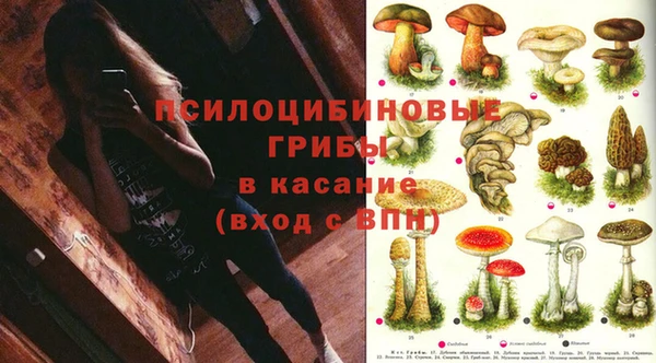 стаф Абинск