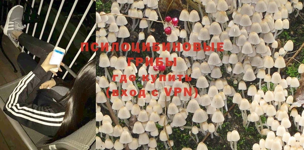 трава Покачи