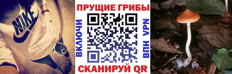 Псилоцибиновые грибы мухоморы  МЕГА как зайти  Дмитров 